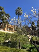 Spanien, Sevilla, Frühling im Garten des Alcazar