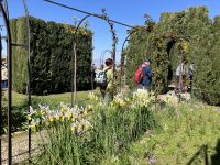 Spanien, Alhambra, Gärten der Generaliffe