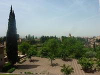 Wer Hunger bekam, pflückte sich einfach eine Frucht von einem der zahlreich vertretenen Obstbäume