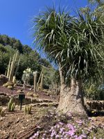 Spanien, Malaga, Botanischer Garten