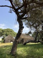 Spanien, Fahrt durch den Nationalpark Doñana