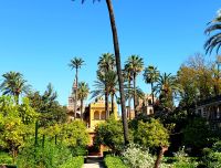 Sevilla. Rundreise Andalusien - der Zauber Spaniens 