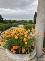 Spanien, Córdoba, Blick auf den Garten im Alcazar