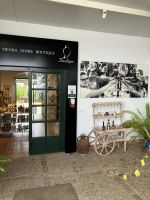 Spanien, Olivenölplantage Basilippo