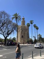 Spanien, Sevilla, Torre de Oro