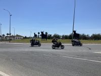 Spanien, Osbourne Stiere und Motor Grand Prix