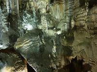 Sehr bizarr, was die Natur an Formen hervorbringen kann