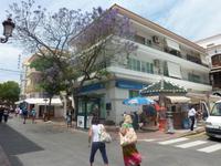 Die letzte Jacaranda, die ich in Andalusien sah