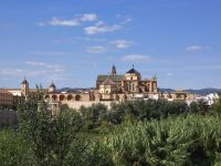 Mezquita 