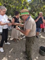 Juanito Zitrusplantage