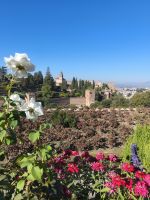 Alhambra Granada