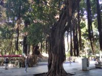 Plaza de Mina (ein liberaler General)