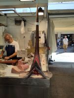 Kopf eines Schwertfischs