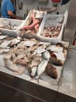 diverse Fische, darunter gehäutet und ungehäutet Katzenhai