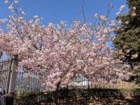 Ronda &ndash; &copy; Walter Neuwirth (Eberhardt TRAVEL)