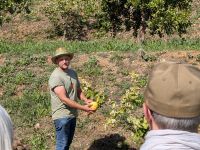 Zitrusplantage &ndash; &copy; Walter Neuwirth (Eberhardt TRAVEL)