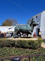 ... &ndash; &copy; Walter Neuwirth (Eberhardt TRAVEL)