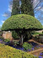 ... &ndash; &copy; Walter Neuwirth (Eberhardt TRAVEL)