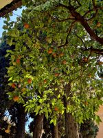 ... &ndash; &copy; Walter Neuwirth (Eberhardt TRAVEL)