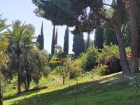 014-Malaga Botanical Garten &ndash; &copy; Dirk Schlosser (Eberhardt TRAVEL)