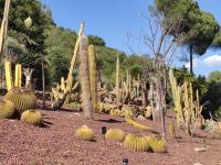 015-Malaga Botanical Garten &ndash; &copy; Dirk Schlosser (Eberhardt TRAVEL)