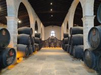 038-Jerez de la Frontera Gonzalez Byass &ndash; &copy; Dirk Schlosser (Eberhardt TRAVEL)