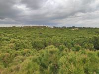 048-Nationalpark Donana &ndash; &copy; Dirk Schlosser (Eberhardt TRAVEL)