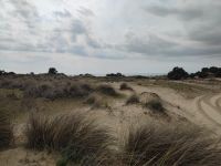 050-Nationalpark Donana &ndash; &copy; Dirk Schlosser (Eberhardt TRAVEL)