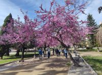 057-Cadiz &ndash; &copy; Dirk Schlosser (Eberhardt TRAVEL)