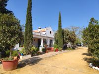 069-Olivenfarm Basilipo &ndash; &copy; Dirk Schlosser (Eberhardt TRAVEL)