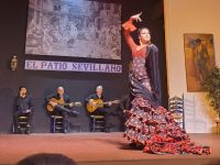 Flamencoabend im Patio Sevillano in Sevilla &ndash; &copy; Katrin Jähne (Eberhardt TRAVEL)