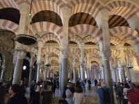 Moschee- Kathedrale mit römischen Säulen und Bögen, Cordoba &ndash; &copy; Katrin Jähne (Eberhardt TRAVEL)