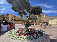 Altstadt von Cordoba &ndash; &copy; Katrin Jähne (Eberhardt TRAVEL)
