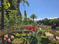 Garten Generalife, Alhambra, Granada &ndash; &copy; Katrin Jähne (Eberhardt TRAVEL)