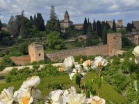 Blick vom Garten Generalife auf die Festungsanlage der Alhambra, Granada &ndash; &copy; Katrin Jähne (Eberhardt TRAVEL)
