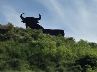 Osborne Stier &ndash; &copy; Katrin Jähne (Eberhardt TRAVEL)