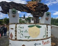 Finca Juanito, Malaga &ndash; &copy; Katrin Jähne (Eberhardt TRAVEL)