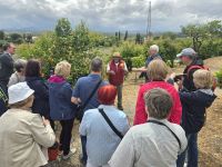 Finca Juanito, Malaga &ndash; &copy; Katrin Jähne (Eberhardt TRAVEL)