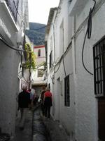 301 Pampaneira