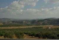 Cordoba_Provinz_Landschaft (3)