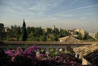 Granada_Alhambra (11)
