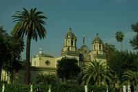 Sevilla_Palmenallee (1)