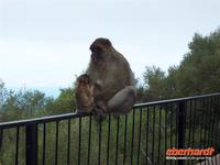 Opa und Enkel :) (vermutlich)