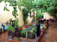 Zitrusplantage von Juan