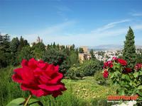Blick auf die Alhambra