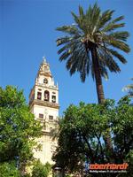 Glockenturm der Mezquita