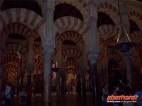 ...in der Mezquita