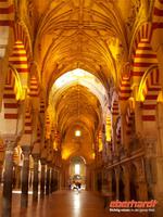 ...in der Mezquita