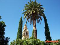 Glockenturm der Mezquita