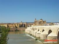 Blick auf die Mezquita